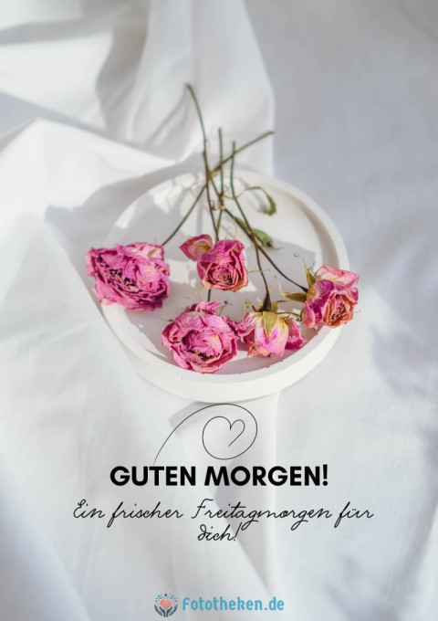 Ein frischer Freitagmorgen für dich!