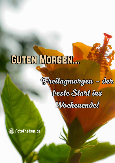 Freitagmorgen – der beste Start ins Wochenende!