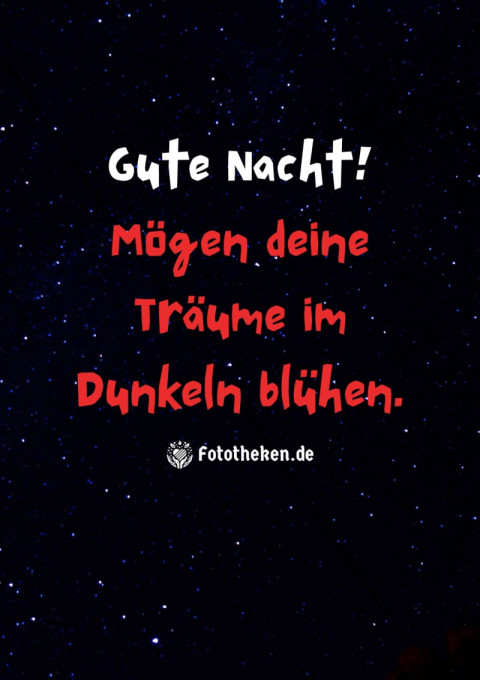 Gute Nacht! Mögen deine Träume im Dunkeln blühen