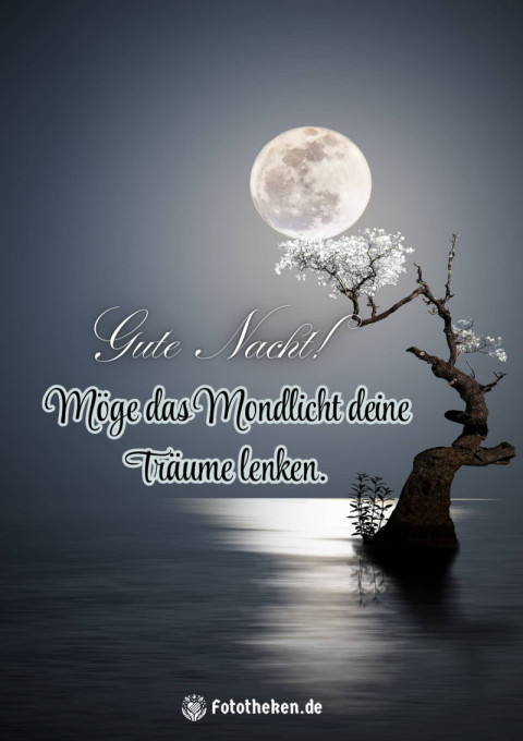 Gute Nacht! Möge das Mondlicht deine Träume lenken