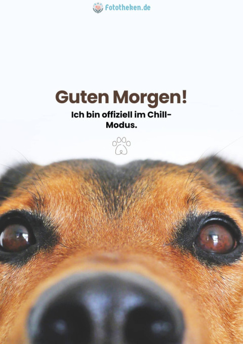 Guten Morgen! Ich bin offiziell im Chill Modus
