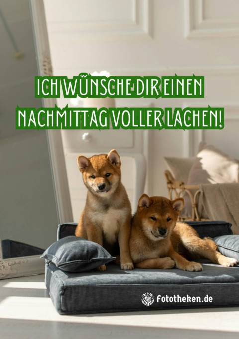 Ich wünsche dir einen Nachmittag voller Lachen!