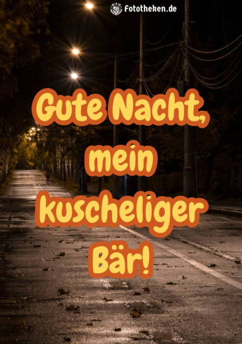 Gute Nacht, mein kuscheliger Bär!
