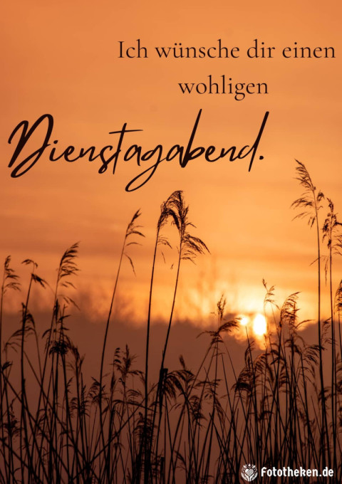 Ich wünsche dir einen wohligen Dienstagabend