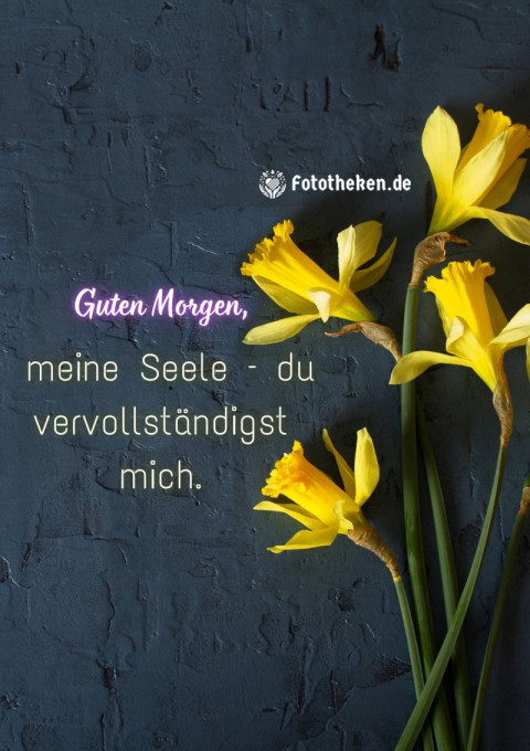Guten Morgen, meine Seele – du vervollständigst mich