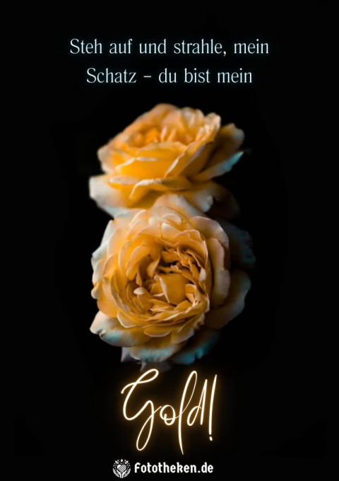 Steh auf und strahle, mein Schatz – du bist mein Gold!