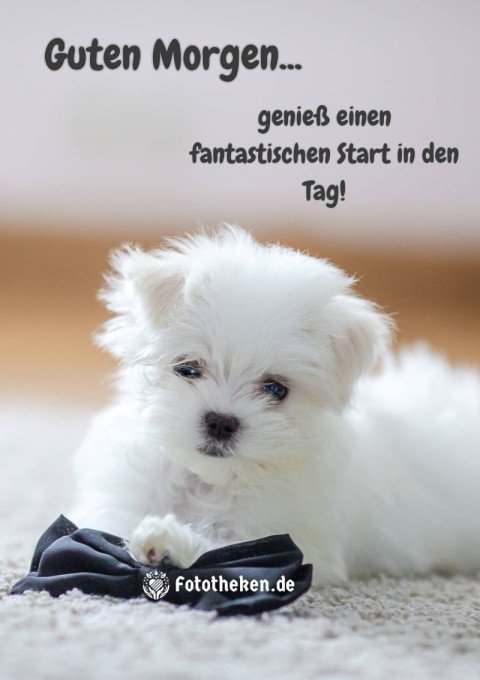 Guten Morgen, genieß einen fantastischen Start in den Tag!