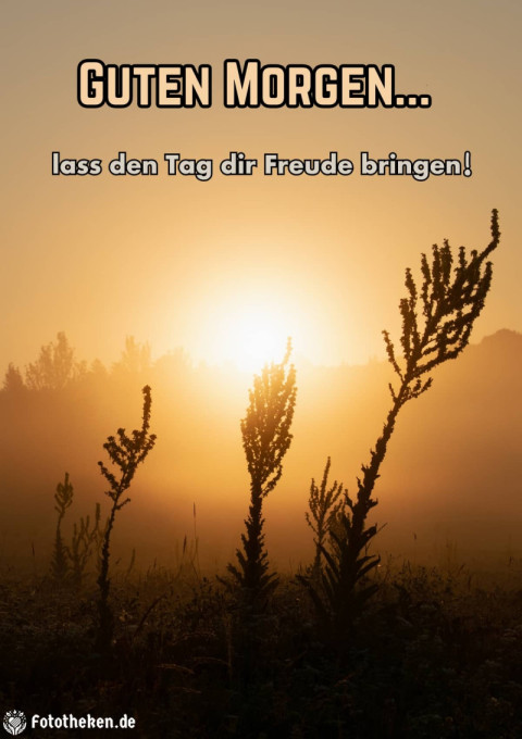 Guten Morgen, lass den Tag dir Freude bringen!