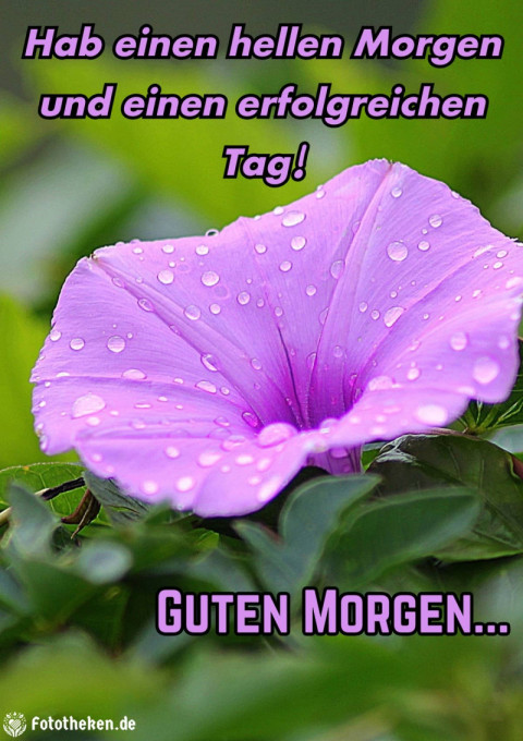 Hab einen hellen Morgen und einen erfolgreichen Tag!