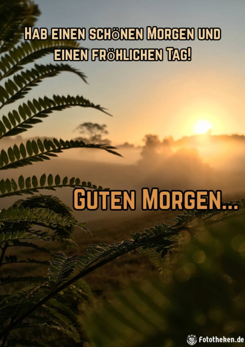 Hab einen schönen Morgen und einen fröhlichen Tag!