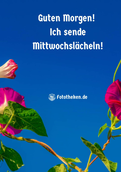 Guten Morgen! Ich sende Mittwochslächeln!