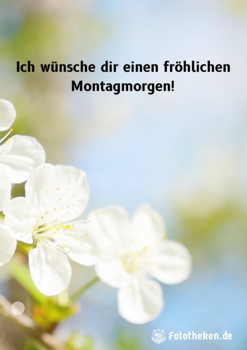 Ich wünsche dir einen fröhlichen Montagmorgen!