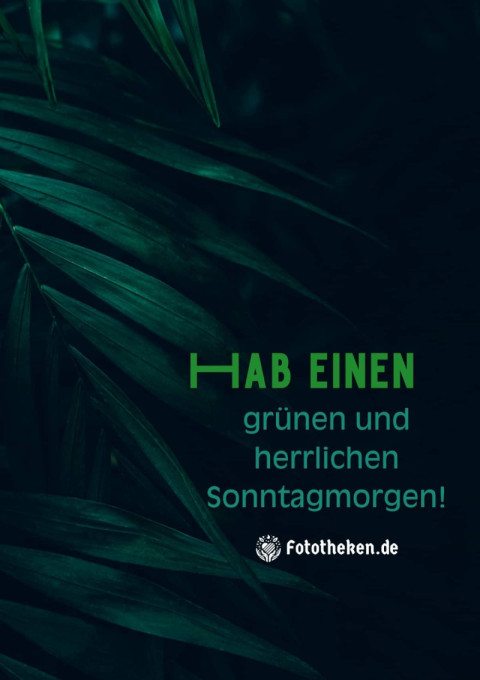 Hab einen grünen und herrlichen Sonntagmorgen!