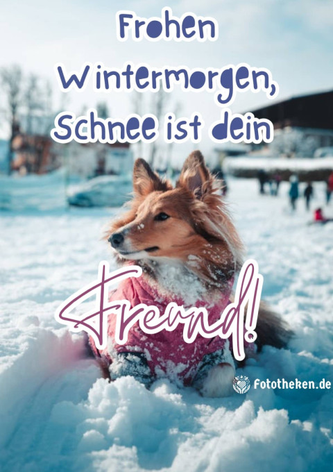 Frohen Wintermorgen, Schnee ist dein Freund!