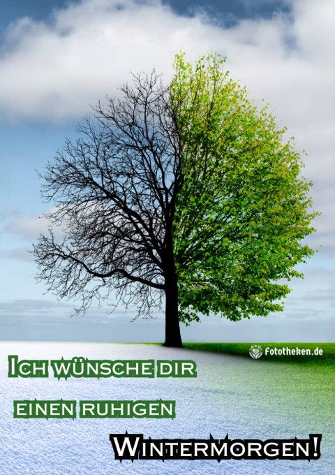 Ich wünsche dir einen ruhigen Wintermorgen!
