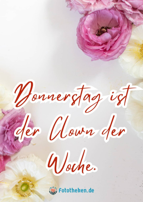 Donnerstag ist der Clown der Woche