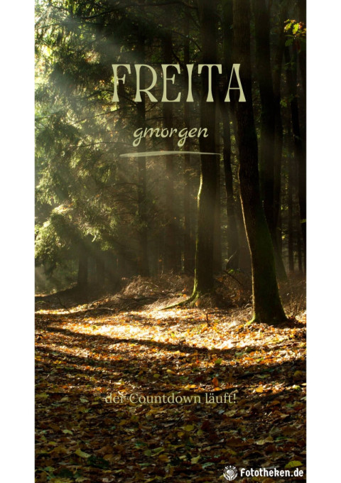 Freitagmorgen – der Countdown läuft!