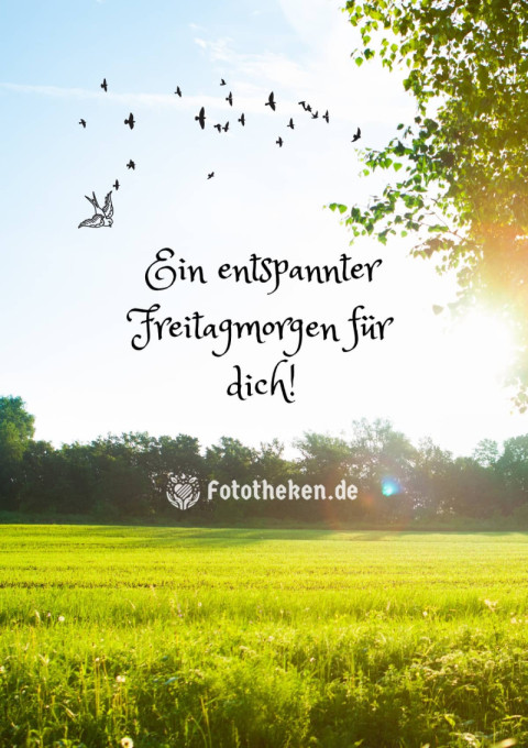 Ein entspannter Freitagmorgen für dich!
