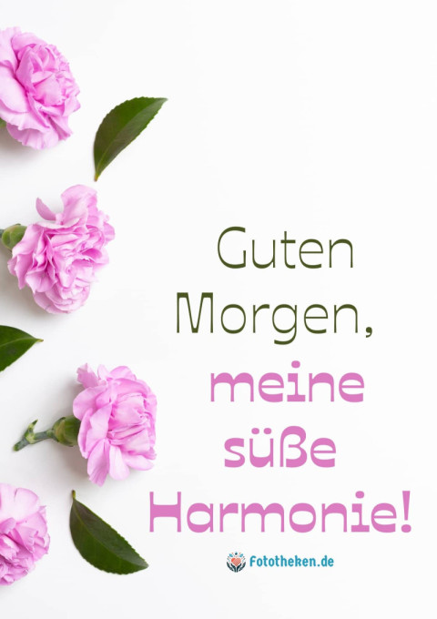 Guten Morgen, meine süße Harmonie!