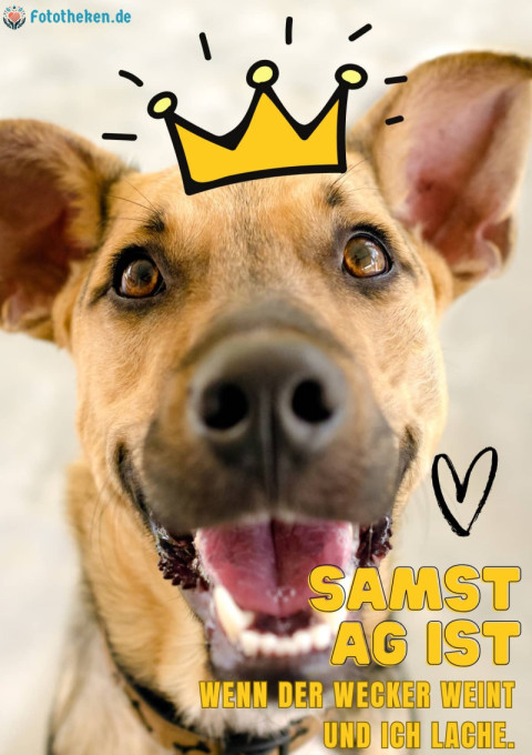Samstag ist, wenn der Wecker weint und ich lache