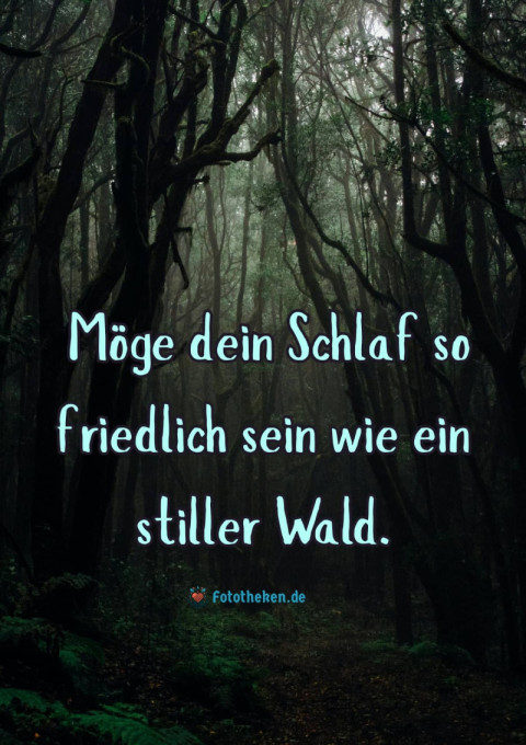 Möge dein Schlaf so friedlich sein wie ein stiller Wald