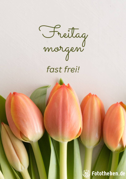 Freitagmorgen – fast frei!