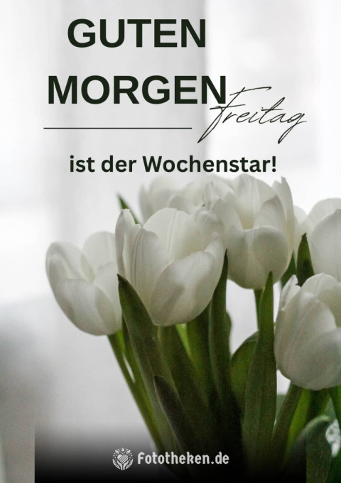 Guten Morgen, Freitag ist der Wochenstar!