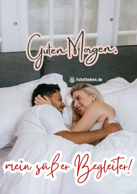 Guten Morgen, mein süßer Begleiter!