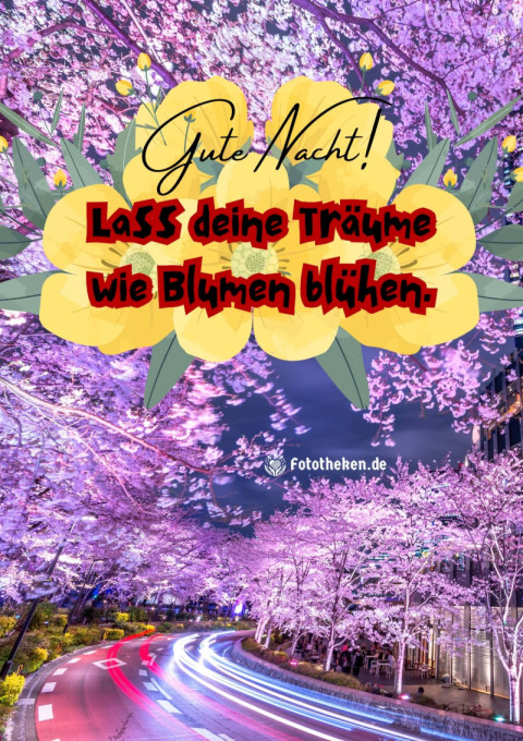 Gute Nacht! Lass deine Träume wie Blumen blühen