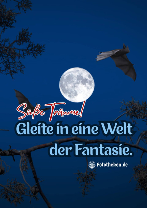 Süße Träume! Gleite in eine Welt der Fantasie
