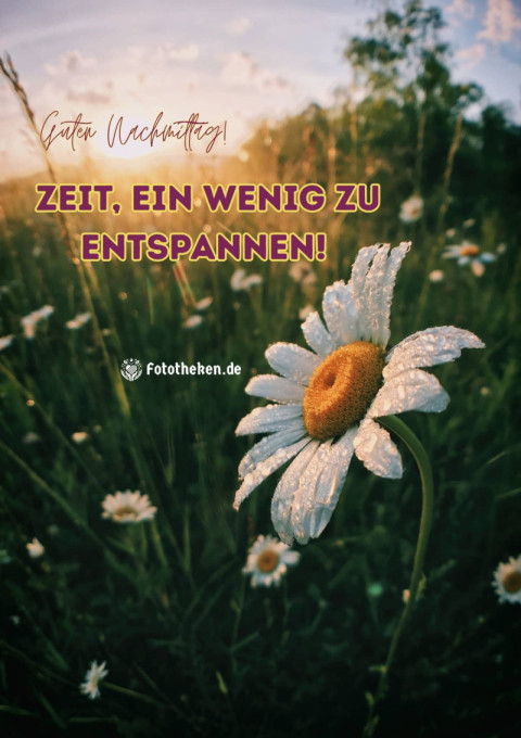 Guten Nachmittag! Zeit, ein wenig zu entspannen!