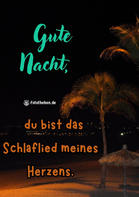 Gute Nacht, du bist das Schlaflied meines Herzens