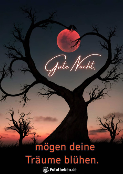 Gute Nacht, mögen deine Träume blühen