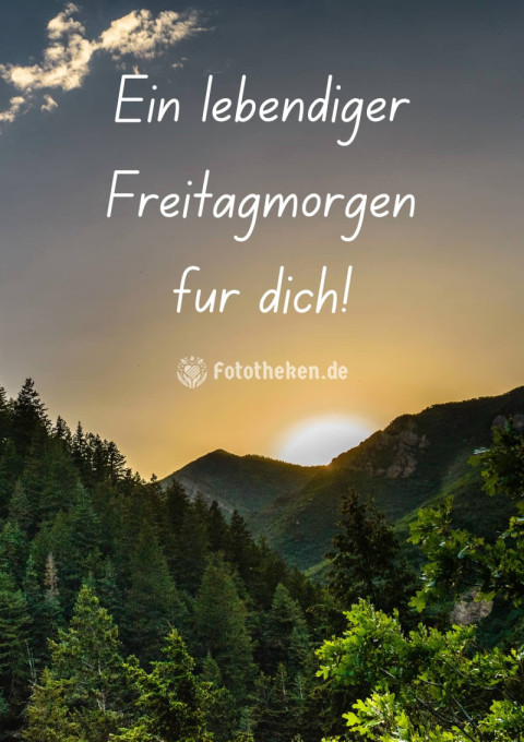 Ein lebendiger Freitagmorgen für dich!