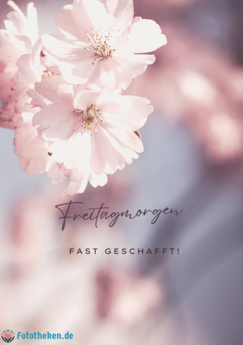 Freitagmorgen – fast geschafft!