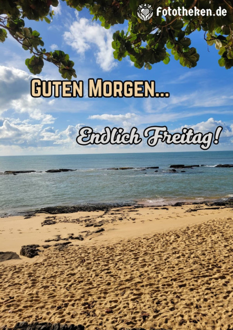 Guten Morgen! Endlich Freitag!