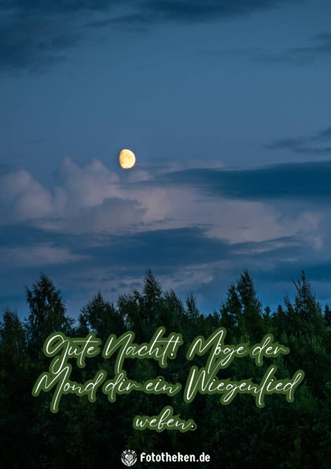 Gute Nacht! Möge der Mond dir ein Wiegenlied weben