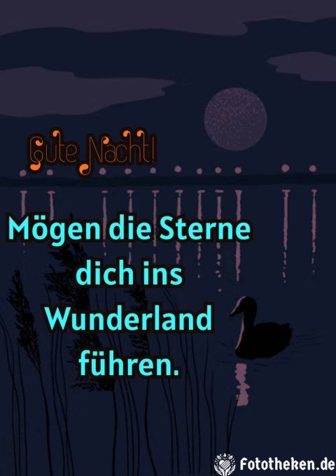 Gute Nacht! Mögen die Sterne dich ins Wunderland führen
