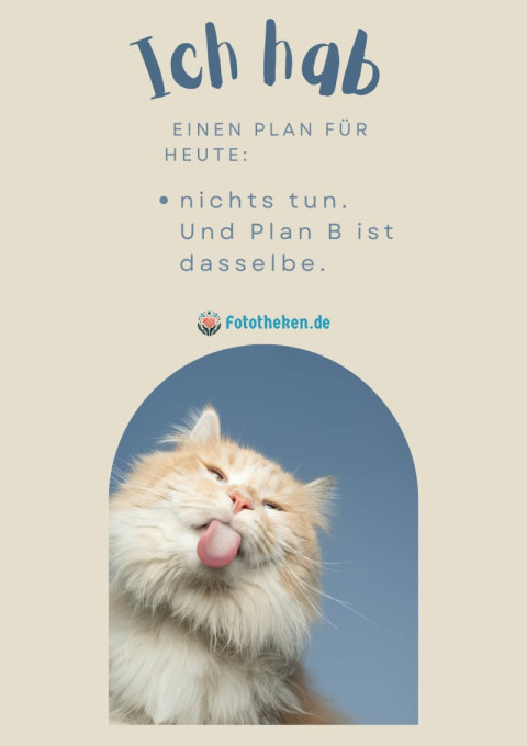 Ich hab einen Plan für heute nichts tun  Und Plan B ist dasselbe