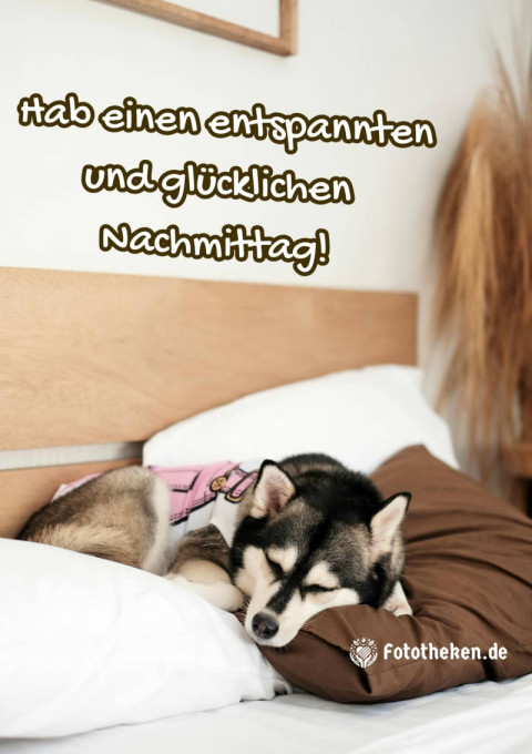 Hab einen entspannten und glücklichen Nachmittag!