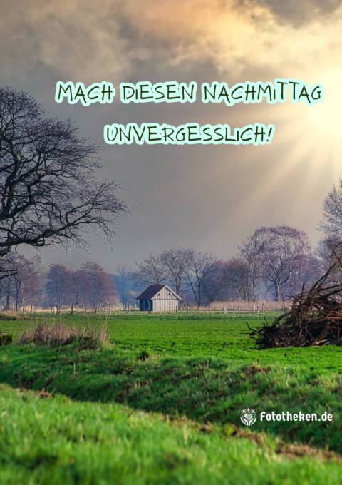 Mach diesen Nachmittag unvergesslich!