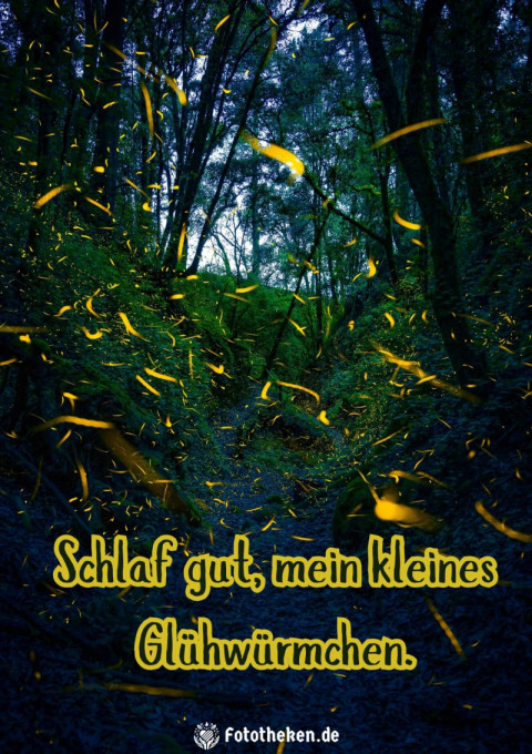 Schlaf gut, mein kleines Glühwürmchen
