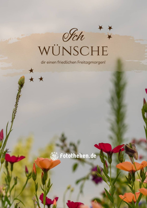 Ich wünsche dir einen friedlichen Freitagmorgen!