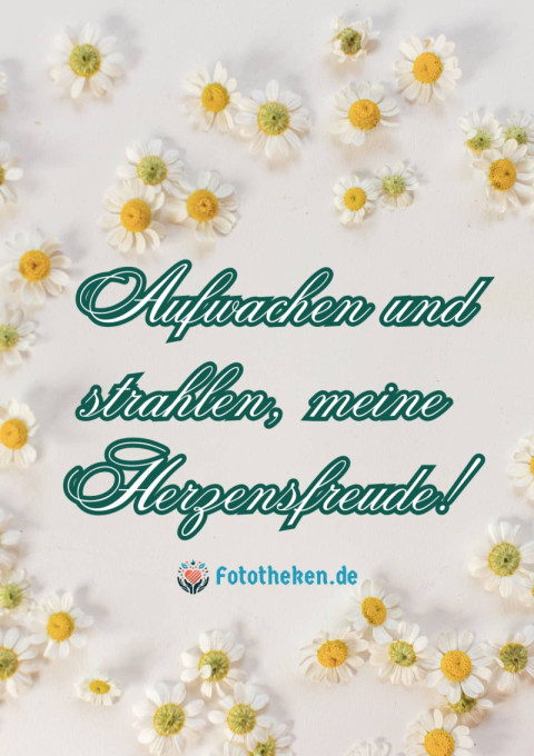 Aufwachen und strahlen, meine Herzensfreude!