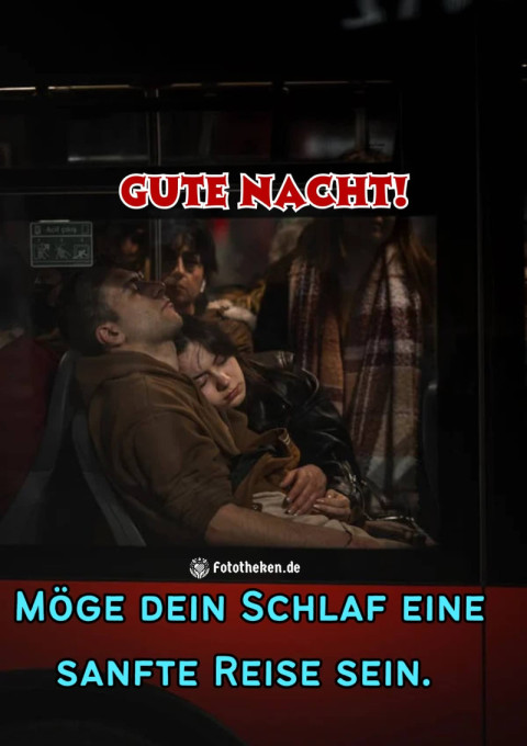 Gute Nacht! Möge dein Schlaf eine sanfte Reise sein