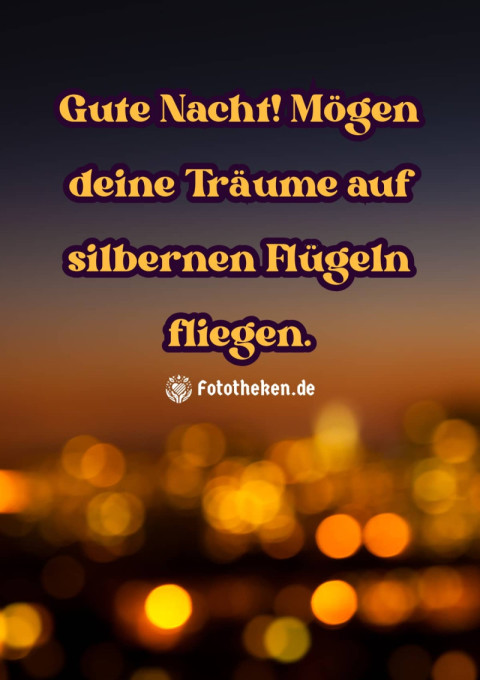 Gute Nacht! Mögen deine Träume auf silbernen Flügeln fliegen