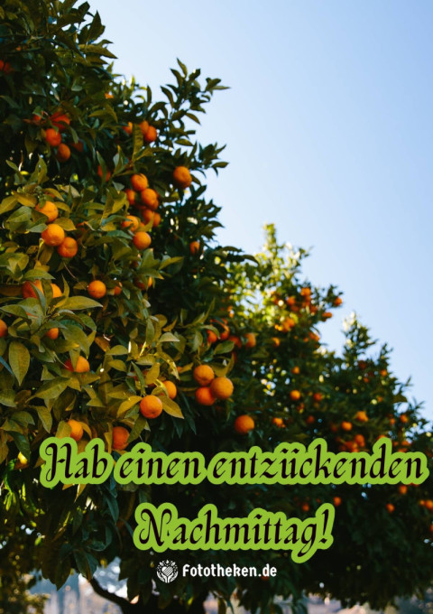 Hab einen entzückenden Nachmittag!