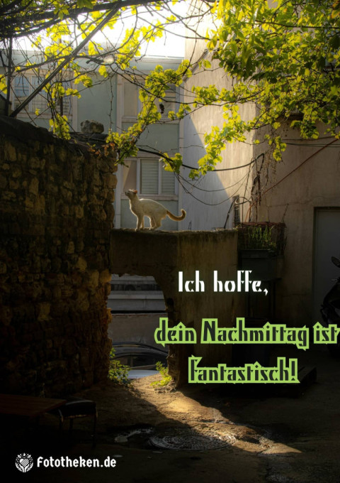 Ich hoffe, dein Nachmittag ist fantastisch!