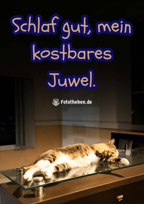 Schlaf gut, mein kostbares Juwel