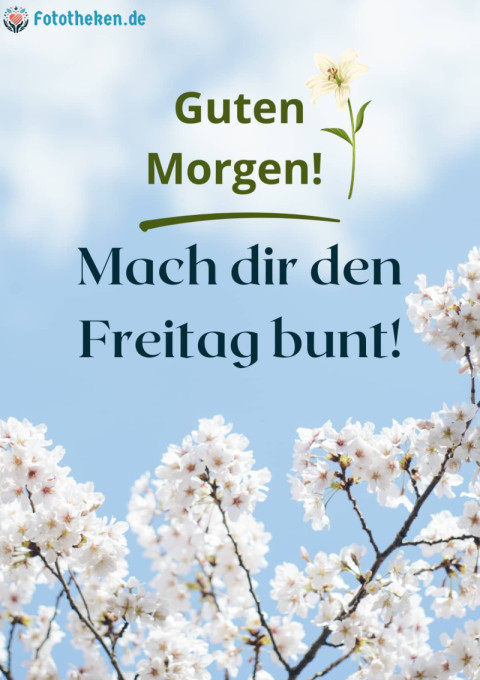 Guten Morgen! Mach dir den Freitag bunt!
